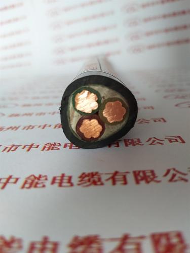 交联聚乙烯绝缘铜丝编织屏蔽变频器用主回路电力电缆bpyjvp